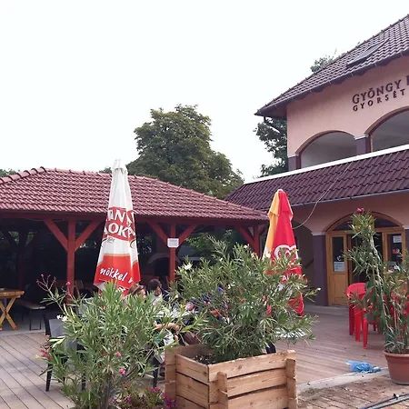 Gyoengy Panzio *